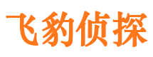 惠城市婚姻调查